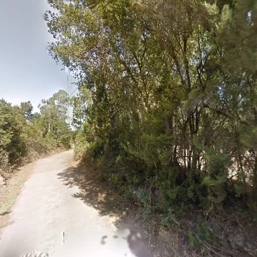Residencia canina Brando Paradise