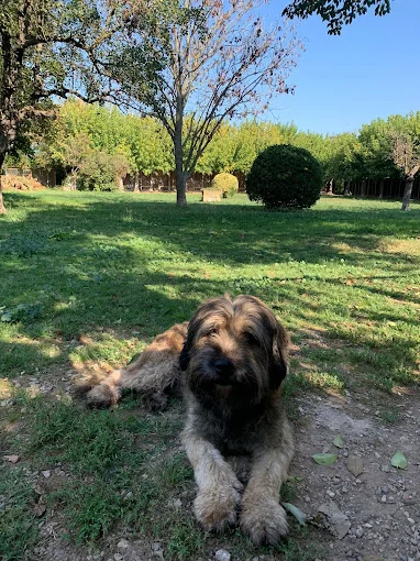 Residencia Canina Campdura