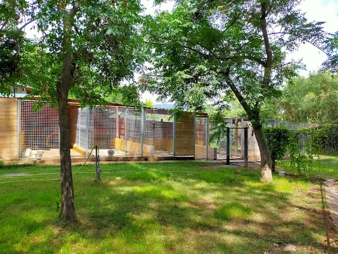 Residència canina Can Franch