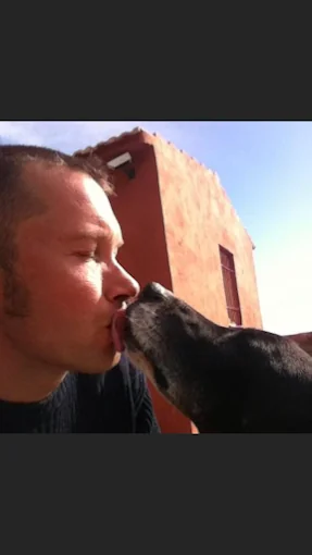 Residència canina Can Hash