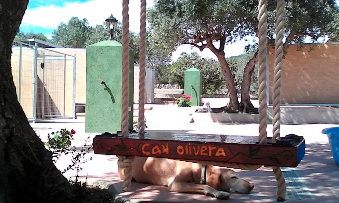 Residencia Canina Can Olivera