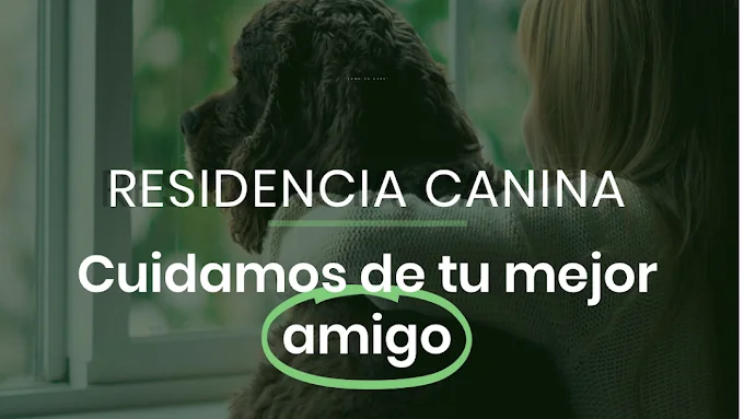 Residencia Canina Como en casa