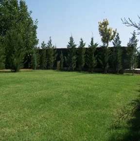 Residencia Canina Cordoba Cansport