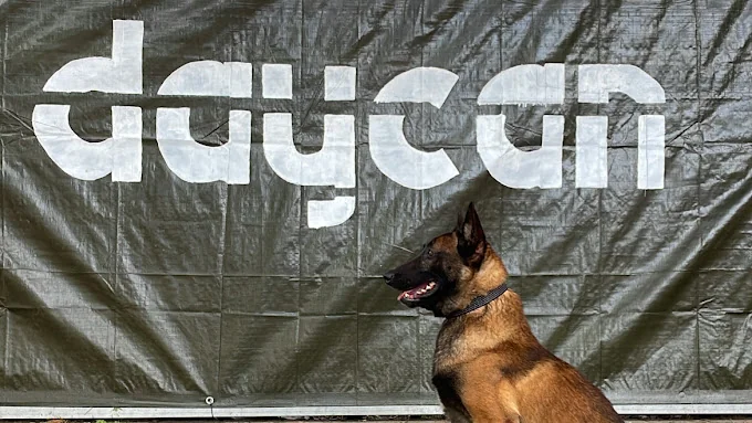 Residencia Canina Daycan