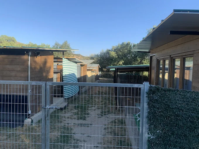 Residencia canina del Pico Peñota