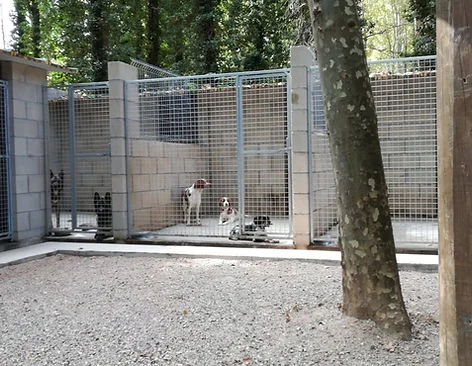 Residència canina La Devesa