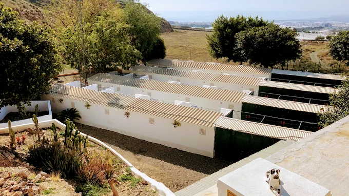 Residencia Canina Leco - Kennels Boarding Cantoria