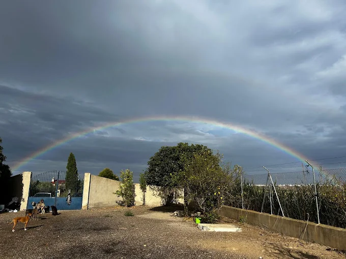 Residencia Canina Llanos de Rosa