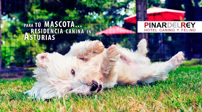 Residencia Canina Los Vitorones