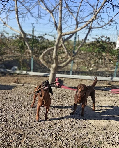 Residencia Canina Quinkey