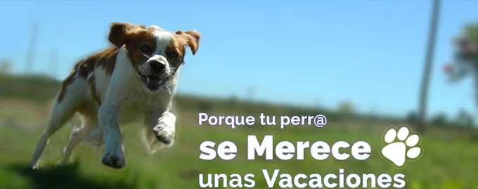 Residencia Canina Riverarce