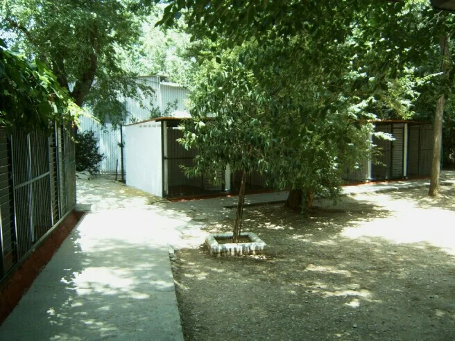 Residencia canina Séneca