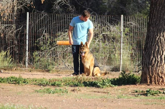 RESIDENCIA CANINA VALCAN