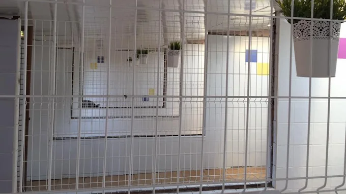 Residencia Canina Villanueva