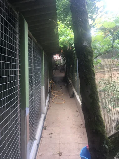 Residencia canina y felina Catro Patas