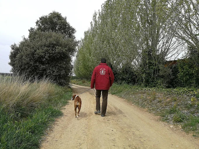Residencia de animales Los Rosales