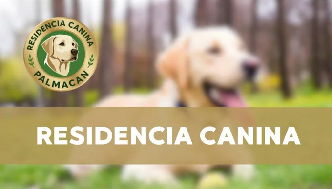 Residencia Palmacan