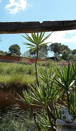 Resort Canino Didugal