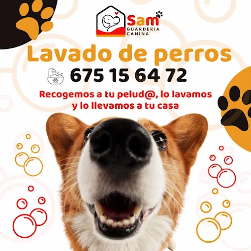 Sam Guardería canina