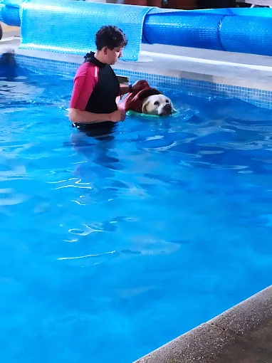 School Canina Narub