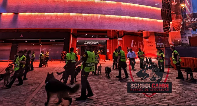Schoolcanin - Escuela y Residencia Canina