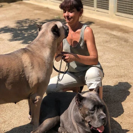 Servican Cabrils - Residència Canina