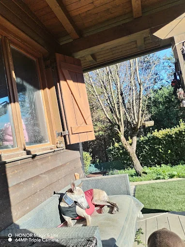 Servicio Canino Bizkaia