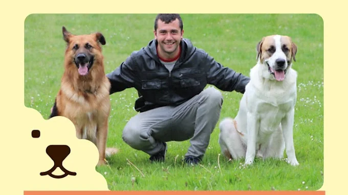 SitCan Urdaneta Adiestramiento y Hotel Canino