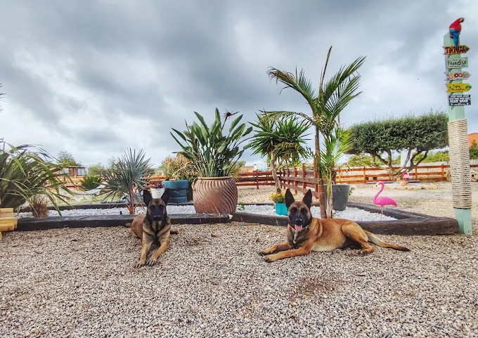 Tiki Ohana - Resort Canino y Exóticos, Mondioring y Adiestramiento