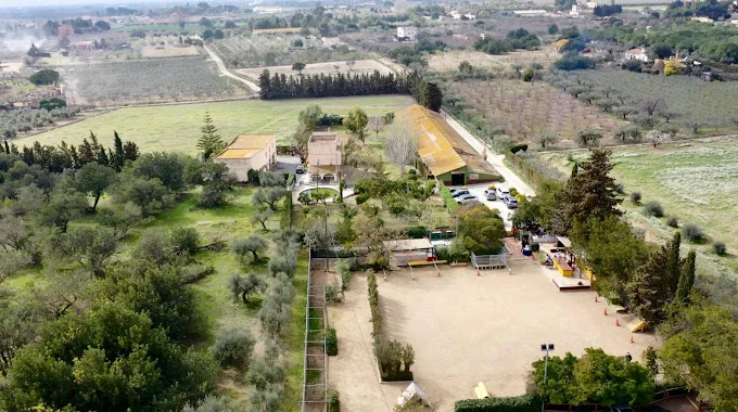 Tres Pirañas Educación y Residencia Canina