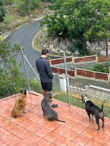 Villa Canina Garraf