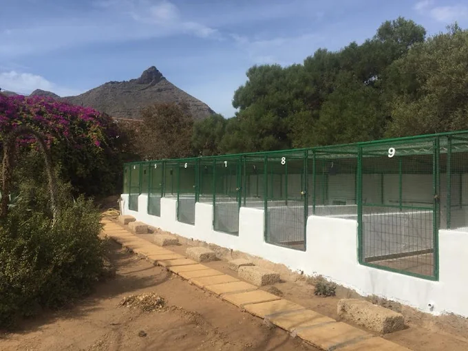 VIP Kennels Tenerife