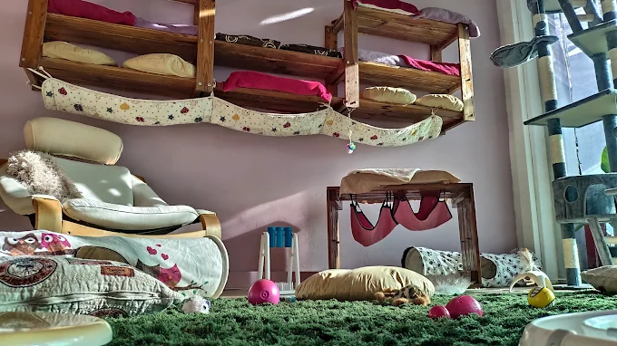 Zarpitas Hotel Hogar Felino